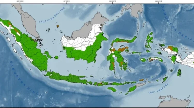 BMKG Imbau Warga Pesisir Waspadai Potensi Banjir Rob hingga Akhir Juni