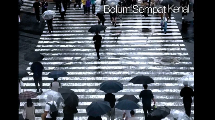Lirik Lagu "Belum Sempat Kenal" - Bernadya