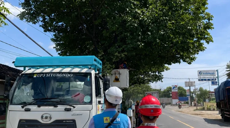 PLN Lakukan Perabasan Pohon, Jaga Pasokan Keandalan Listrik