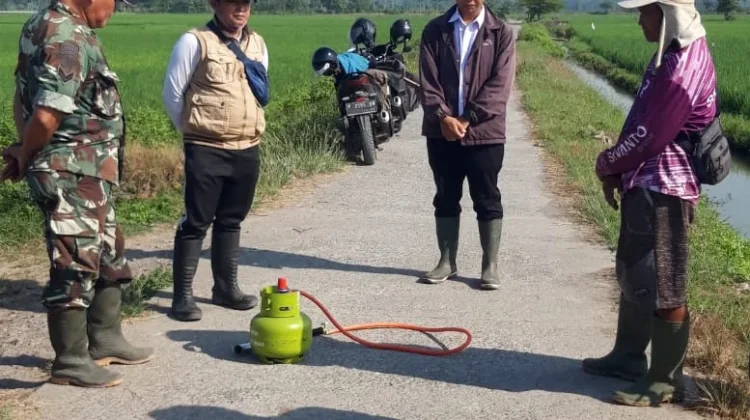 Petani di Wringintelu Puger Berburu Hama Tikus