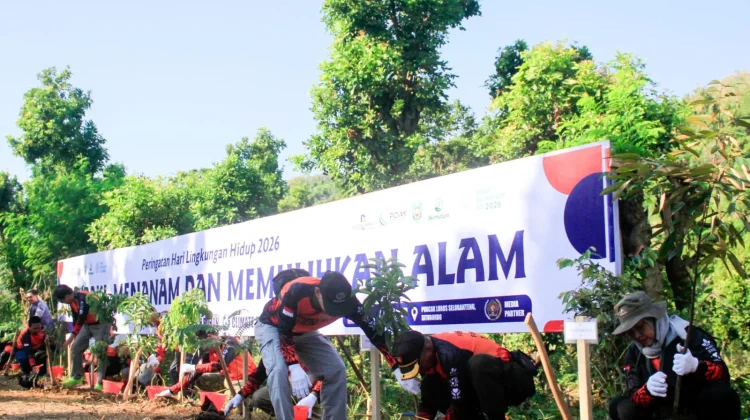 POMI Mendaki dan Tanam Pohon di Kawasan Hutan Lindung