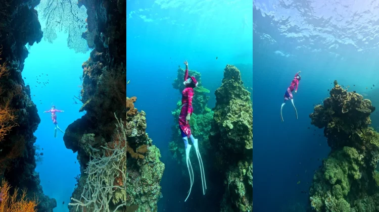Surga Bawah Laut "Menjangan Cave" Memikat Freediver dari Berbagai Daerah