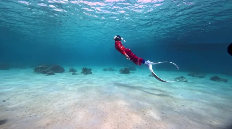 Mengenal Freedive lewat Perjalanan Karenina Menjelajahi Laut Indonesia