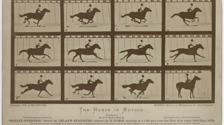 Motion Study, Awal Mula Lahirnya Gambar Bergerak sebelum Era Video