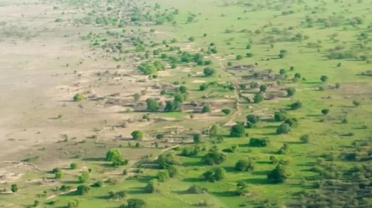 Great Green Wall, Upaya Afrika Menekan Wilayah Gurun yang Semakin Melebar