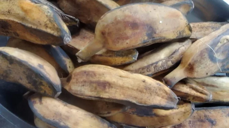 Pisang Rebus Jadi Camilan Sehat, Kaya Nutrisi dan Cocok untuk Menu Harian