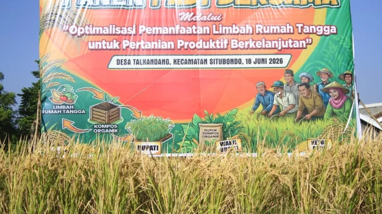 Produksi Padi Januari-Juni Sebanyak 225.736 Ton
