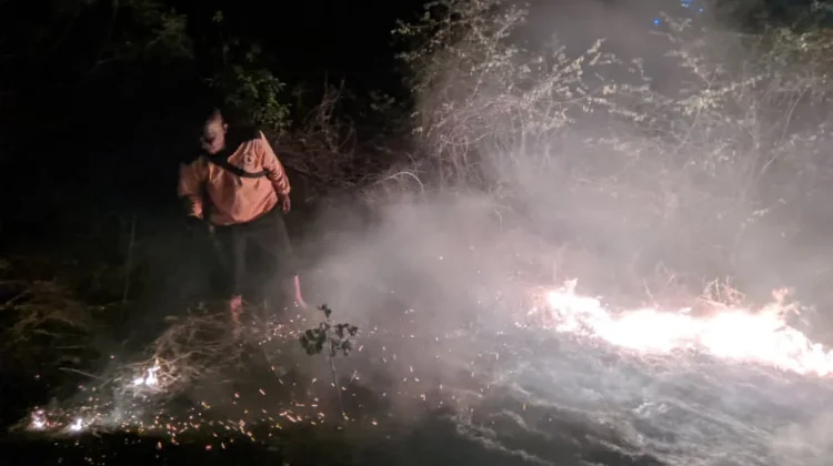 Kebakaran Lahan Ilalang Seluas 10 Hektare Berhasil Dipadamkan