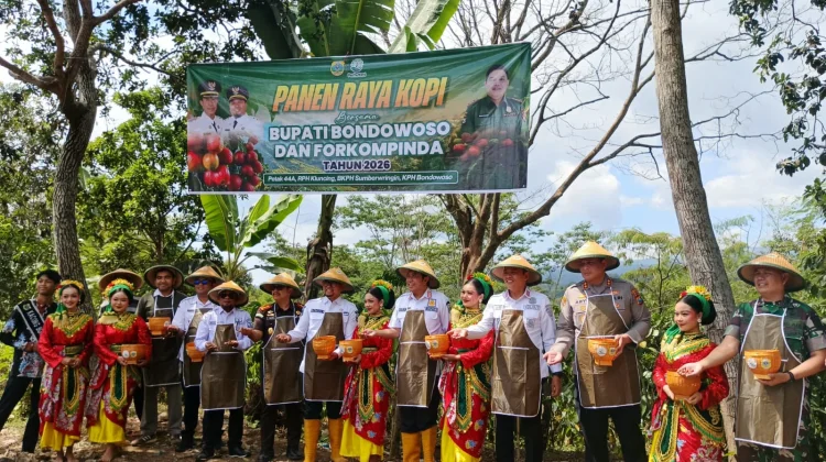 Kerjasama Agroforestri, Dukung Ketahanan Pangan Melalui Perluasan Areal