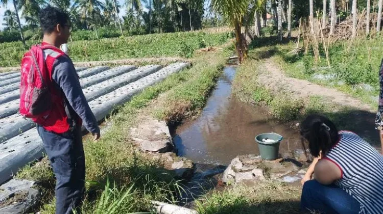 PMI Jember Asesmen Wilayah Rawan Kekeringan