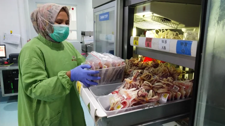 Donasi Darah PMI Jember Capai 22.390 Kantong pada Semester I 2026