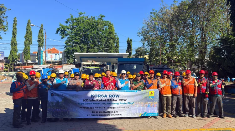 PLN Situbondo Rabas Pohon Pelihara Jaringan Listrik