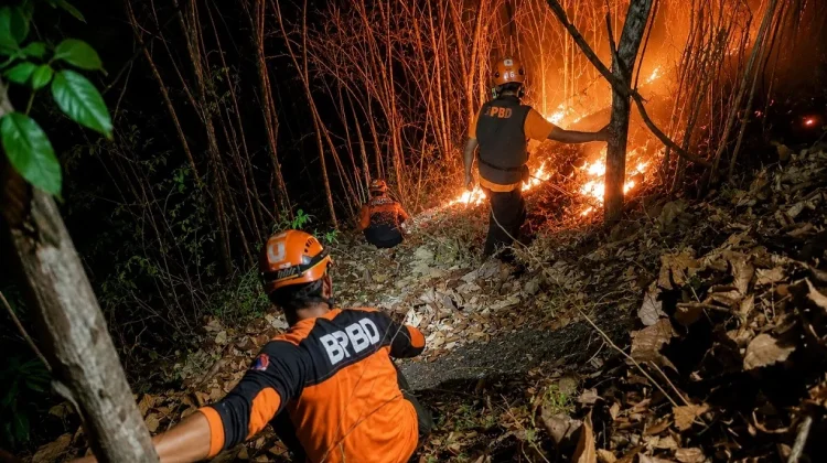 Kebakaran Hutan di Pasirian Berhasil Dikendalikan