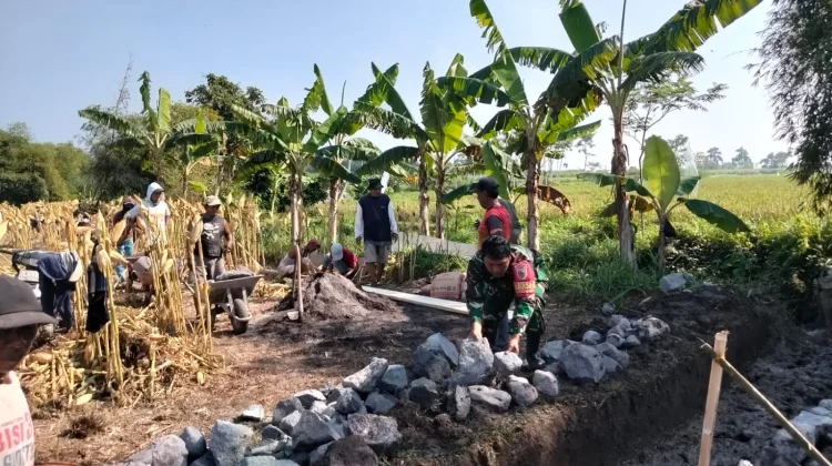TNI Kawal Rehabilitasi Saluran Irigasi di Lumajang