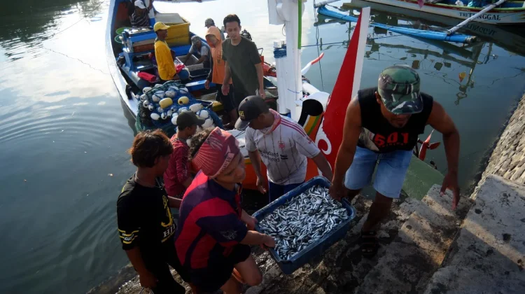 Delegasi ASEAN Akan Belajar Ekonomi Biru di Banyuwangi