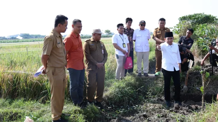 Pemkab Jember Targetkan Optimalisasi 7.070 Hektare Lahan Pertanian pada 2026