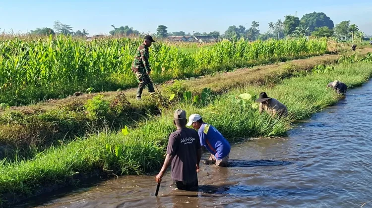 Kelompok Tani Bersama TNI Normalisasi Sungai Irigasi