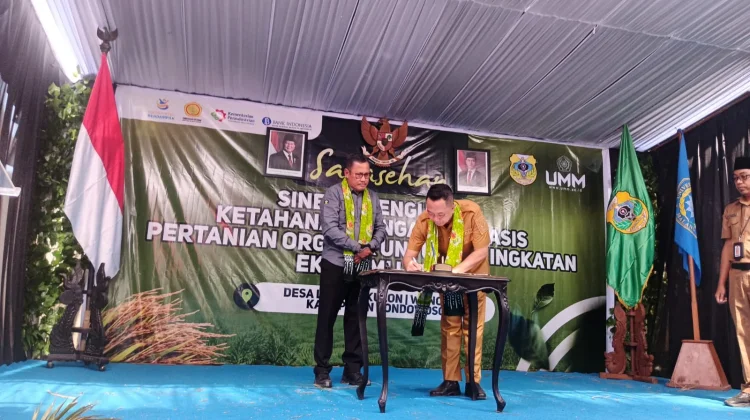 UMM dan Kemendiktisaintek Dorong Pertanian Jadi Model Penguatan Ekonomi Petani