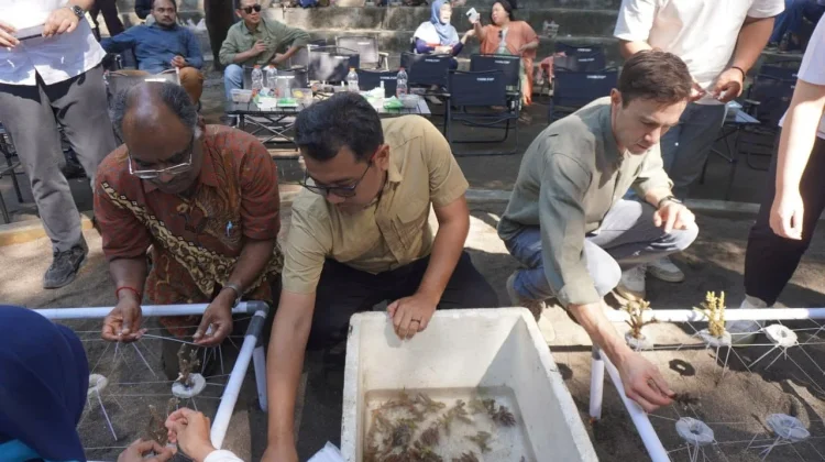 Bangsring Underwater Jadi Contoh Ekonomi Biru Tingkat ASEAN