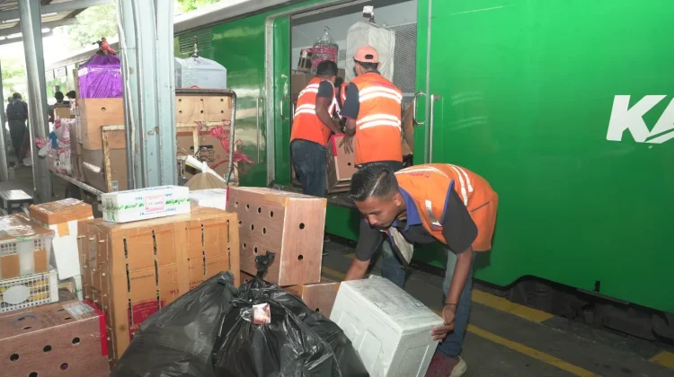 Angkutan Paket Daop 9 Jember Tumbuh 19,2 Persen pada Semester I 2026