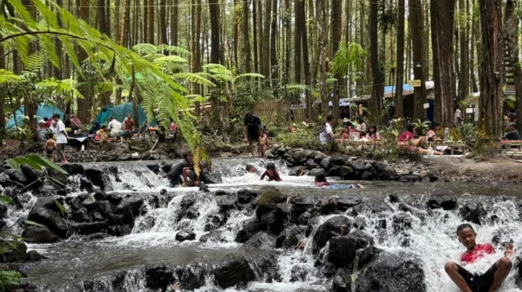 Ribuan Wisatawan Padati Kalipinusan Poncosumo