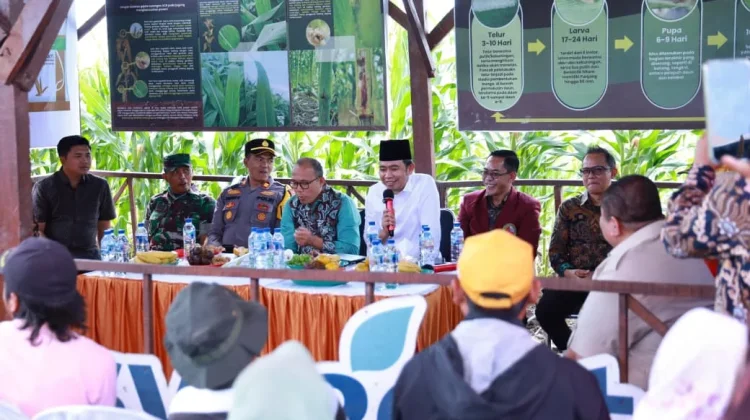 Pemkab Jember Kembangkan Inkubator Agribisnis untuk Perkuat Hilirisasi Jagung