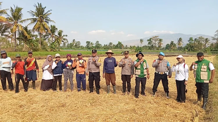 Polsek Klabang Tanam Jagung Bersama Petani, Kapolres Apresiasi Ketahanan Pangan