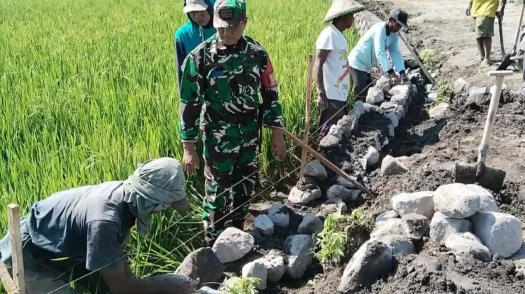Gotong Royong Bangun Irigasi, Dukung Produktivitas Sawah Kebonsari