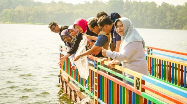 Lumajang Tebar 100 Ribu Benih Ikan Pulihkan Ekosistem Ranu Klakah