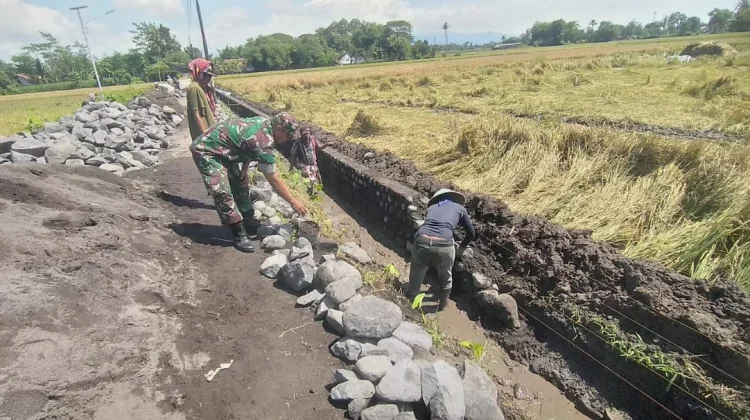 TNI dan Poktan Bangun Drainase Irigasi Sawah Lumajang
