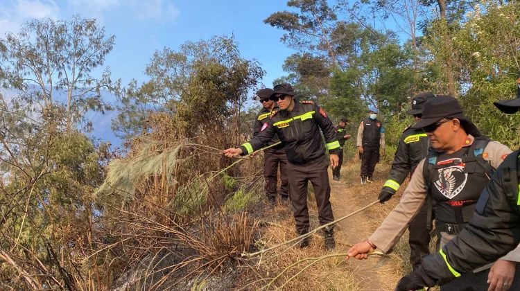 TNBTS Bersama Polres Lumajang Antisipasi Karhutla di Perbatasan