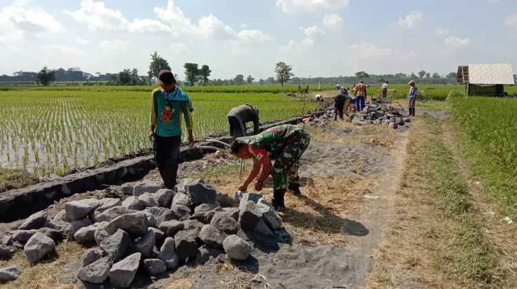 Drainase Baru Permudah Pengairan Sawah di Desa Grati