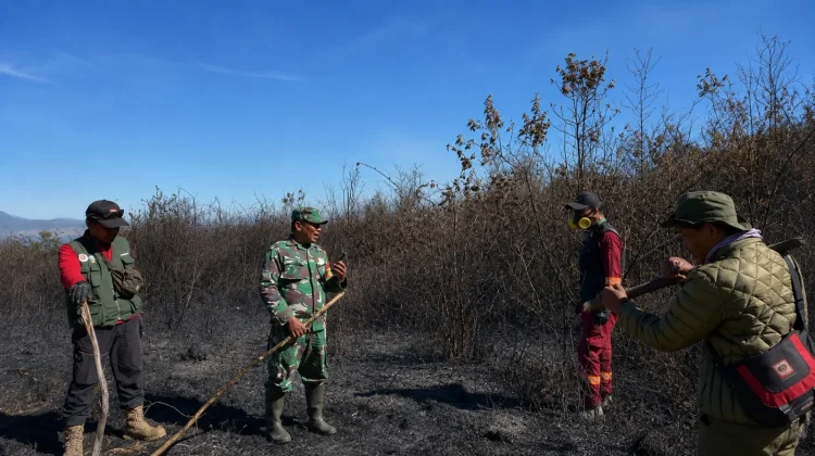 Tim Gabungan Padamkan Api di Kawasan Argosari Lumajang