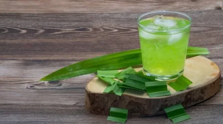 Manfaat Air Pandan untuk Kesehatan