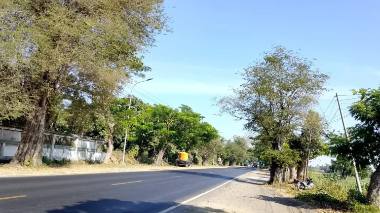 Warga Keluhkan Lampu PJU Jalur Pantura Gelap Gulita