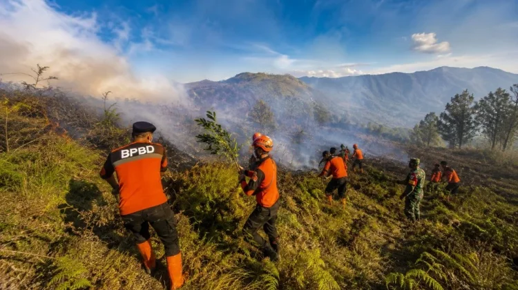 TRC Lumajang Bergerak Tangani Karhutla di Kawasan B29