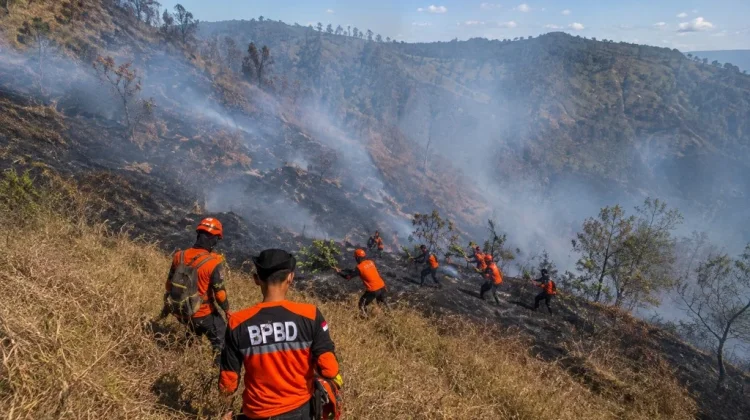 Akses Bromo dari Senduro Ditutup Sementara akibat Karhutla