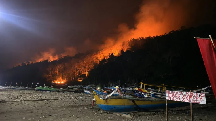 Kebakaran Hanguskan 6,5 Hektare Hutan Gunung Watangan Jember