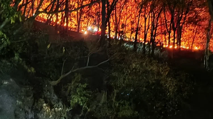 Arak-arak Kembali Terbakar, Damkar Berjibaku Padamkan Api