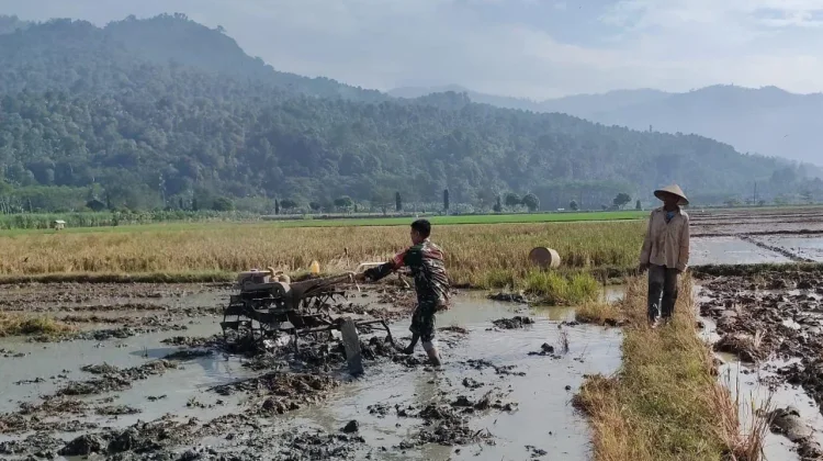Petani Tempursari Lumajang Maksimalkan Produksi Pertanian