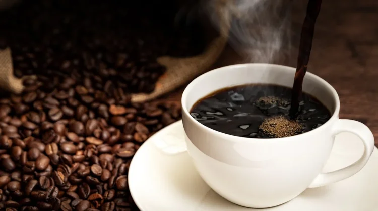 Kopi Tak Sekadar Minuman, Komunitas Jember Bangun Ruang Kreativitas dan Bisnis