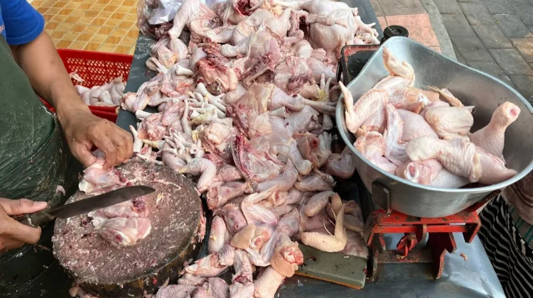 Harga Ayam di Banyuwangi Tembus Rp36 Ribu perkilogram