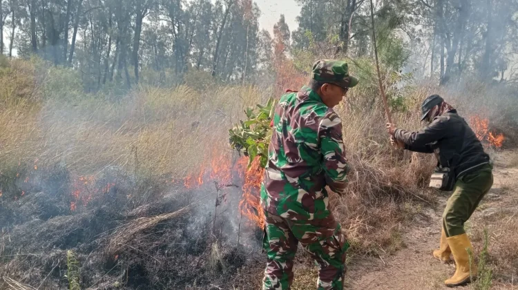 Karhutla Melanda Lereng Gunung Ijen, Api Merembet ke Kawasan Perhutani