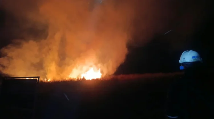 Kebakaran Lahan di Kawah Wurung Bondowoso Capai Hektaran, Nyaris Merembet ke Kebun