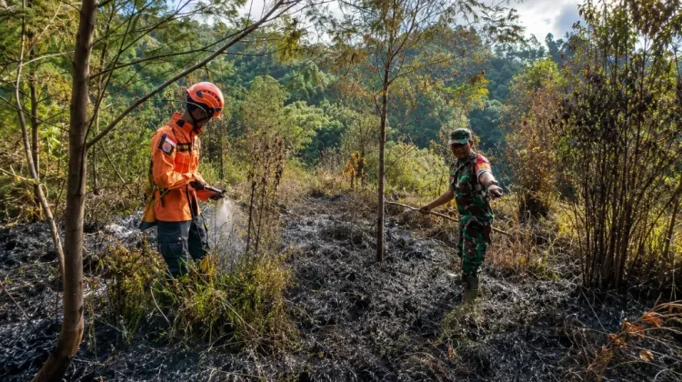 Petugas Berhasil Padamkam Api di Bukit Sentong Ranupani