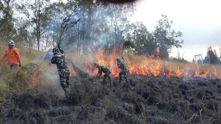Kawah Wurung Kembali Terbakar, Api Menjalar ke Selatan dan Jadi Insiden Ketiga