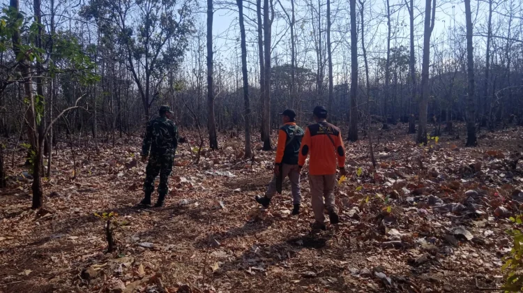 TNI, Bitakol, Intensifkan Patroli Cegah Kebakaran Hutan Baluran