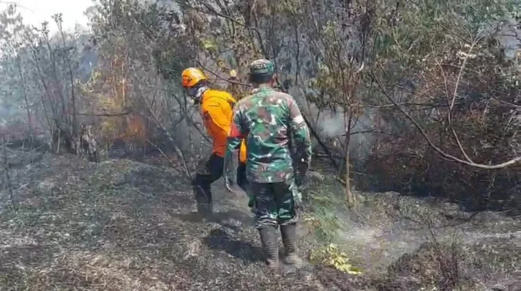 Petugas Gabungan Temukan Titik Api di Ranupani Lumajang