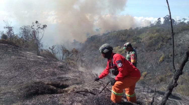 Petugas Gabungan Berupaya Padamkan Api di Kawasan TNBTS