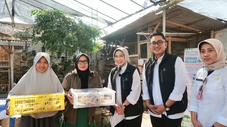 Kandang Belajar Yosowilangun Lor, Cara Peternak Belajar Langsung dari Lapangan